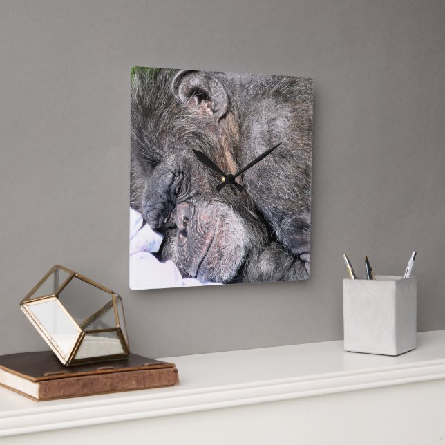 HORLOGE CARRÉE CUTE CHIMPANZEE (Bureau)