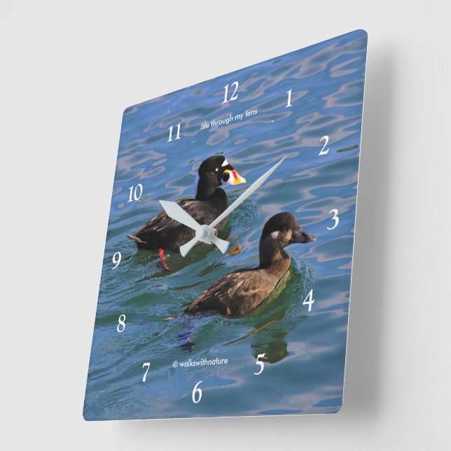 Horloge Carrée Cute Funny Surf Scoter Canards Nager à la jetée (Angle)