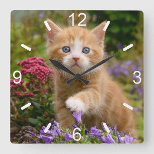 Horloge Carrée Cute Ginger Chat Kitten dans le jardin Carte photo