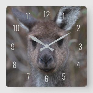 Horloge Carrée Cute Kangaroo Face