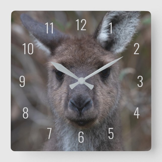 Horloge Carrée Cute Kangaroo Face (Recto)