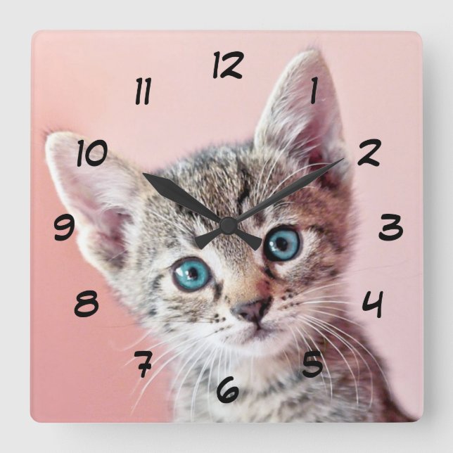 Horloge Carrée Cute kitten with blue eyes. (Recto)