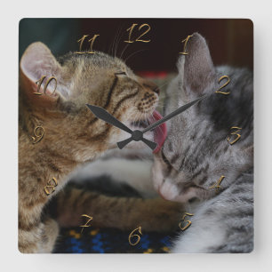 Horloge Carrée Cute kittens