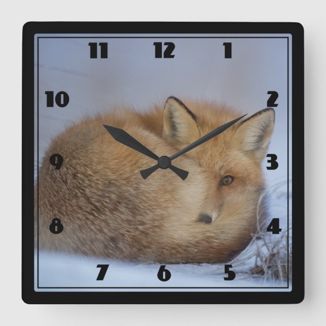 Horloge Carrée Cute Little Fox Curling Up Winter Photo (Recto)