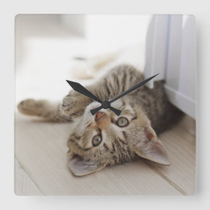 Horloge Carrée Cute Little Kitten