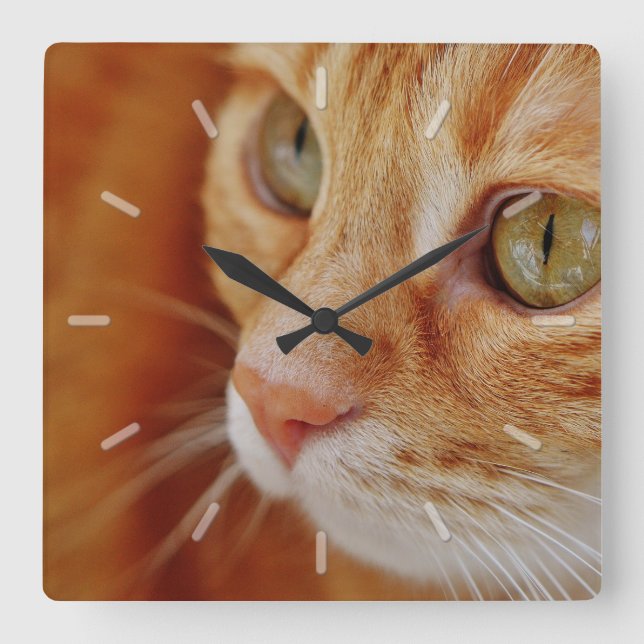Horloge Carrée Cute Orange Tabby Cat Face Close (Recto)