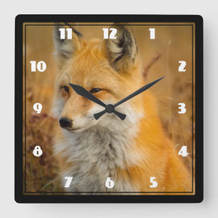 Horloge Carrée Cute Red Fox Wilderness Nature Photography