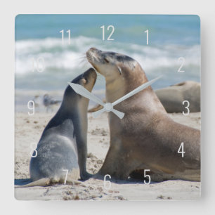 Horloge Carrée Cute Sea Lion & Baby Pup Beach Australie Carré Wa