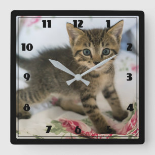 Horloge Carrée Cute Tabby Kitten À L'Air Surpris