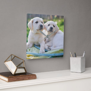 Horloge Carrée Cutest Baby Animals Yellow Labrador Retrievers