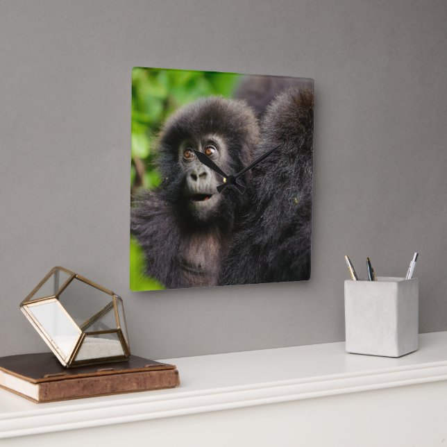 Horloge Carrée Cutest Baby Animals | Young Mountain Gorilla (Bureau)
