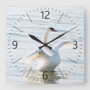 Horloge Carrée Cygnus cygne blanc