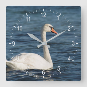 Horloge Carrée Cygnus de cygne blanc