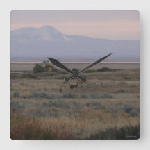 D10 Collines de cerfs à queue blanche