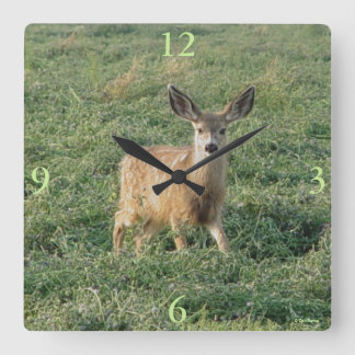 Horloge Carrée D19 Mule Deer Fawn in Alfapha Field