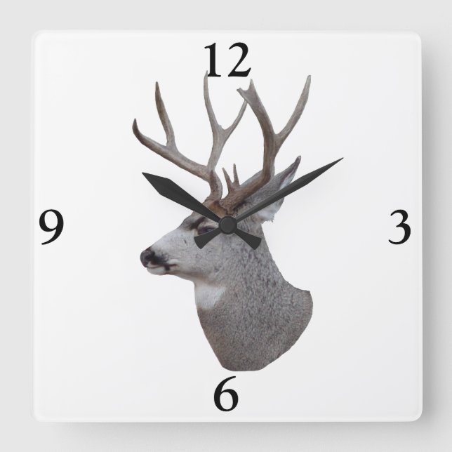 Horloge Carrée D27 Mule Deer Buck (Recto)