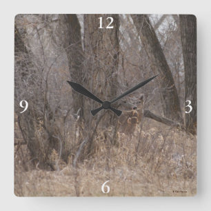 Horloge Carrée D2 Cerfs de Virginie dans des Peupliers de Virgini
