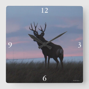 Horloge Carrée D3 Mule Deer Buck