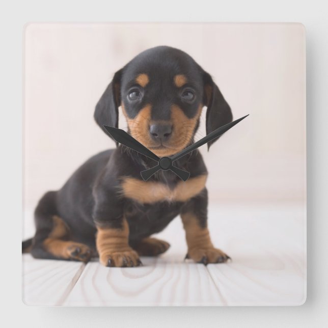 Horloge Carrée Dachshund Miniature assis (Recto)