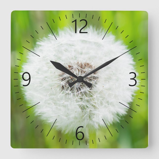 Horloge Carrée Dandelion (Recto)