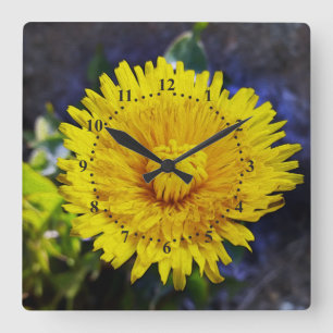 Horloge Carrée Dandelion au soleil