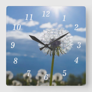 Horloge Carrée Dandelion Dans L'Horloge Mur Léger