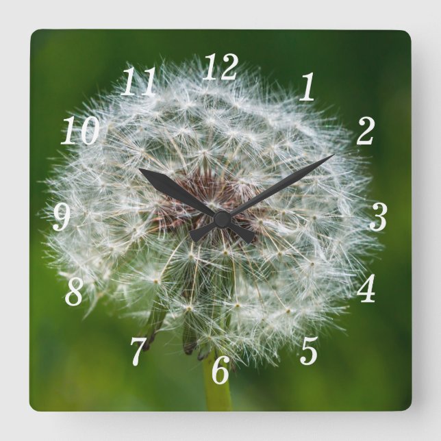 Horloge Carrée Dandelion Dans L'Horloge Mur Léger (Recto)