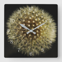 Dandelion Seedhead White Script