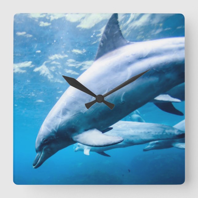 Horloge Carrée Dauphins sous-marins (Recto)