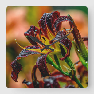 Horloge Carrée Daylily Black Plush