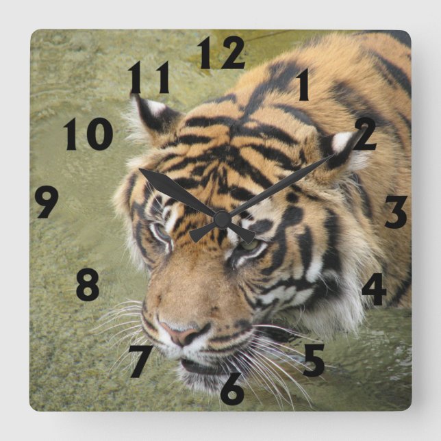 Horloge carrée de tigre (Recto)