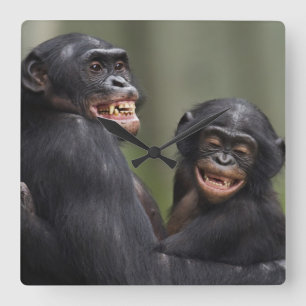 Horloge Carrée Deux bonobos de sourire