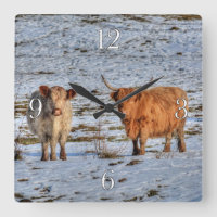 Deux bovins de la Highland en hiver sur une horlog