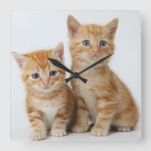 Horloge Carrée Deux chatons adorables