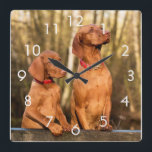 Horloge Carrée Deux Golden Rust Vizsla Dogs<br><div class="desc">Two golden / rust vizsla dogs wall clock</div>
