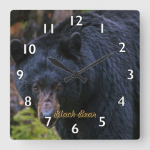 Dignity Black Bear