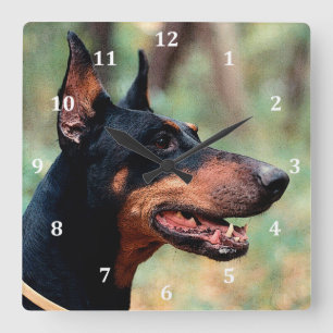 Horloge Carrée Doberman Pinscher dans les bois