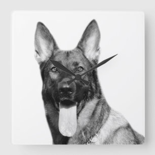 Horloge Carrée Dog german shepherd animal pet photo black