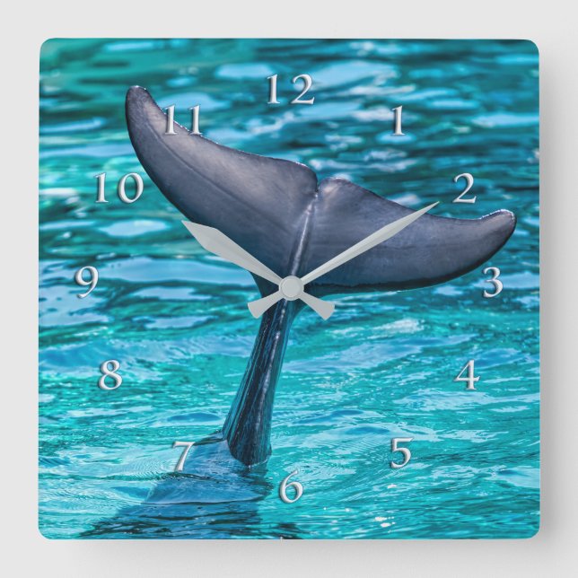 HORLOGE CARRÉE DOLPHIN TAIL FLUKE HOWDY ! (Recto)