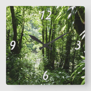 Horloge Carrée Dominicain Forêt de pluie II Vert tropical