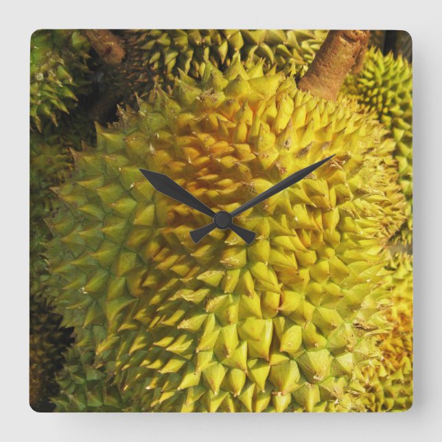 Horloge Carrée Durian Fruit (Recto)