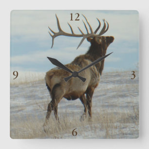 Horloge Carrée E58 Bull Elk Lucky 13 Bull