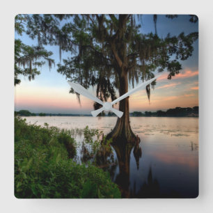 Horloge Carrée Eau Kraft Azalea Park Maitland Floride