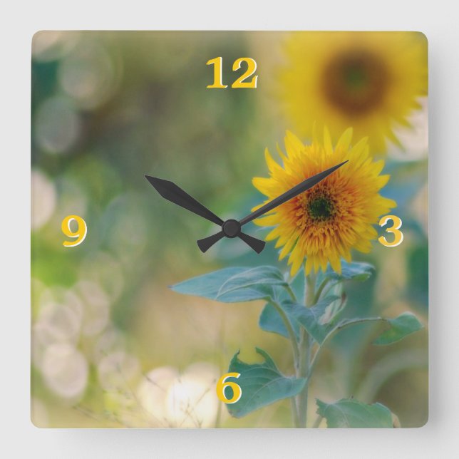 Horloge Carrée Écran de mur des tournesols (Recto)