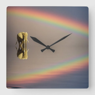 Horloge Carrée Éléphant, eau, et arc-en-ciel, Kenya