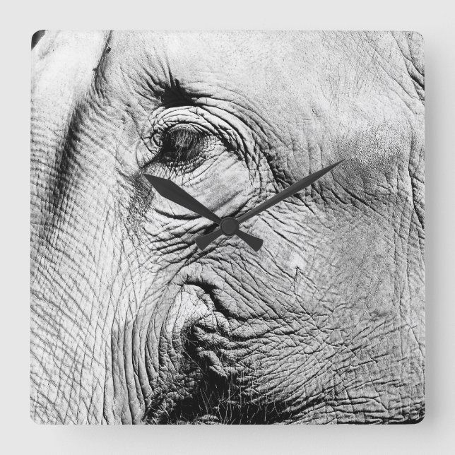 Horloge Carrée Elephants Eye, 2017 (Recto)