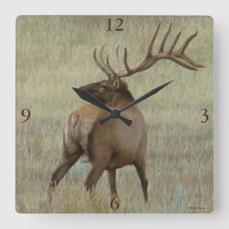 Horloge Carrée Elk Bull E6 en velours