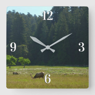 Horloge Carrée Elk Meadow at Redwood National Park