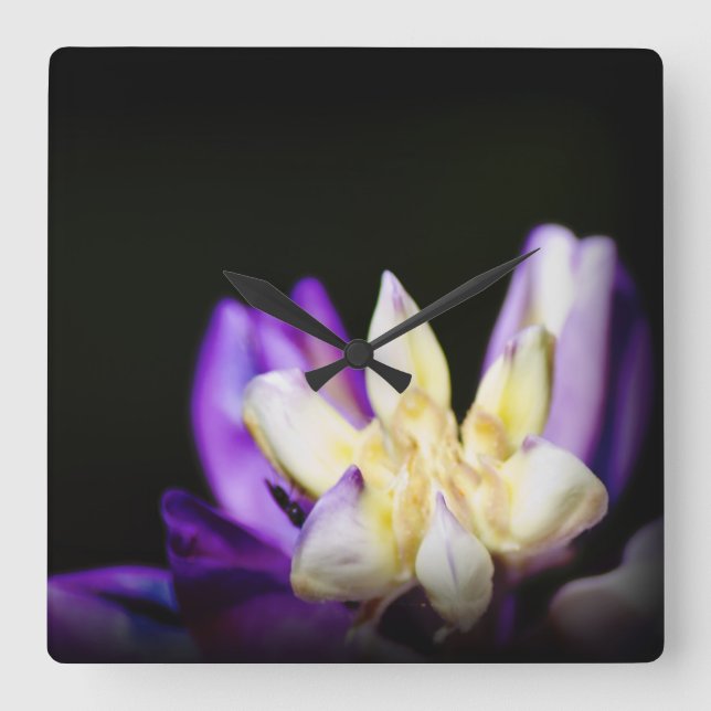 Horloge Carrée En amour avec Lupine (Recto)