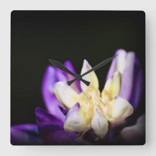 Horloge Carrée En amour avec Lupine